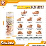OBL10433942 - 恐龙头骨套装
