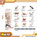 OBL10433959 - 小猫套装