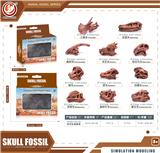 OBL10433988 - 恐龙头骨套装