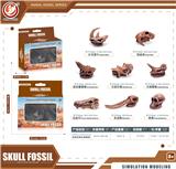 OBL10433991 - 史前动物头骨套装