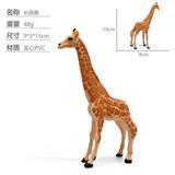 OBL10435127 - 长颈鹿