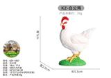 OBL10436032 - 白公鸡