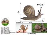 OBL10436035 - 单只蜗牛C