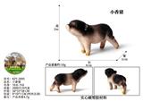 OBL10436136 - 小香猪
