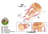 OBL10436251 - Animaltoys