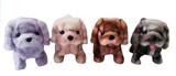 OBL10438955 - Electric animal