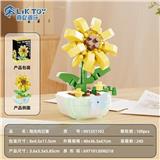 OBL10439948 - 阳光向日葵
