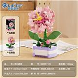 OBL10439956 - 元气植仔系列-展示盒