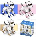 OBL10444888 - Remote control robot