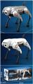 OBL10444891 - Remote control robot