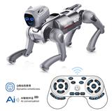OBL10445555 - Remote control robot