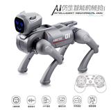 OBL10445556 - Remote control robot