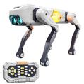 OBL10445557 - Remote control robot