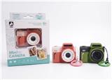 OBL10445638 - Kaleidoscope/Camera