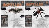 OBL10453132 - Animaltoys