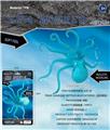 OBL10453140 - Animaltoys