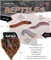 OBL10453161 - Animaltoys
