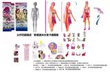 OBL10454660 - 第13季高档惊喜炫彩闪亮组合珠光11.5寸实身闪光变色泡水芭比.带2套随机衣服带6样不同的惊喜配件一只变色泡水闪亮宠物