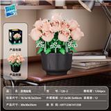 OBL10454696 - 玫瑰花盆栽-
粉色