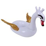 OBL10457884 - Swimming toys
