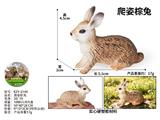 OBL10487910 - 爬姿棕兔