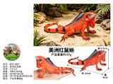 OBL10487925 - 美洲红鬣蜥