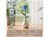OBL10488107 - 冲量特供款-绣球花