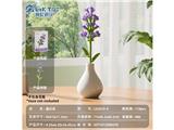OBL10488109 - 冲量特供款-薰衣草