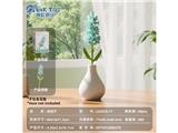 OBL10488112 - 冲量特供款-风信子