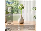 OBL10488116 - 冲量特供款-雏菊