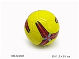 OBL625686 - 6 "standard football team