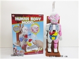 OBL642952 - Human body model terrorist three-dimensional jigsaw puzzle