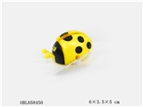 OBL658450 - The chain pearl beetles