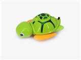 OBL668304 - Arrows lights the tortoise