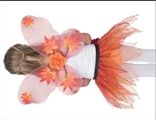 OBL668939 - FAIRY SET