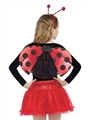 OBL668941 - LADYBUG SET