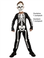 OBL668989 - SKELETON 