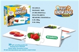 OBL669033 - Fruit matching puzzle