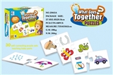 OBL669048 - Symmetric matching puzzle