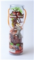 OBL670383 - PVC cylinder 8 pack animals