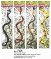 OBL703560 - 2, paragraph 4 color 24 inch snake/PVC