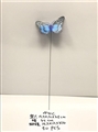 OBL707880 - 50只装1袋花园小蝴蝶