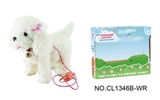 OBL708877 - 12 "matchmaking white teddy dog