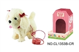 OBL708909 - 9 "matchmaking white teddy dog