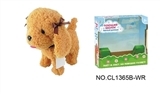OBL708965 - 9 "orange teddy dog