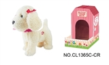 OBL708966 - 9 "white teddy dog