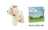 OBL708968 - 9 "white teddy dog