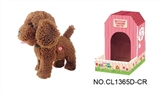 OBL708969 - 9 "brown teddy dog