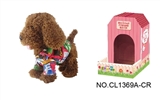 OBL708972 - 9 "brown teddy dog