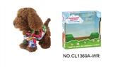 OBL708974 - 9 "brown teddy dog